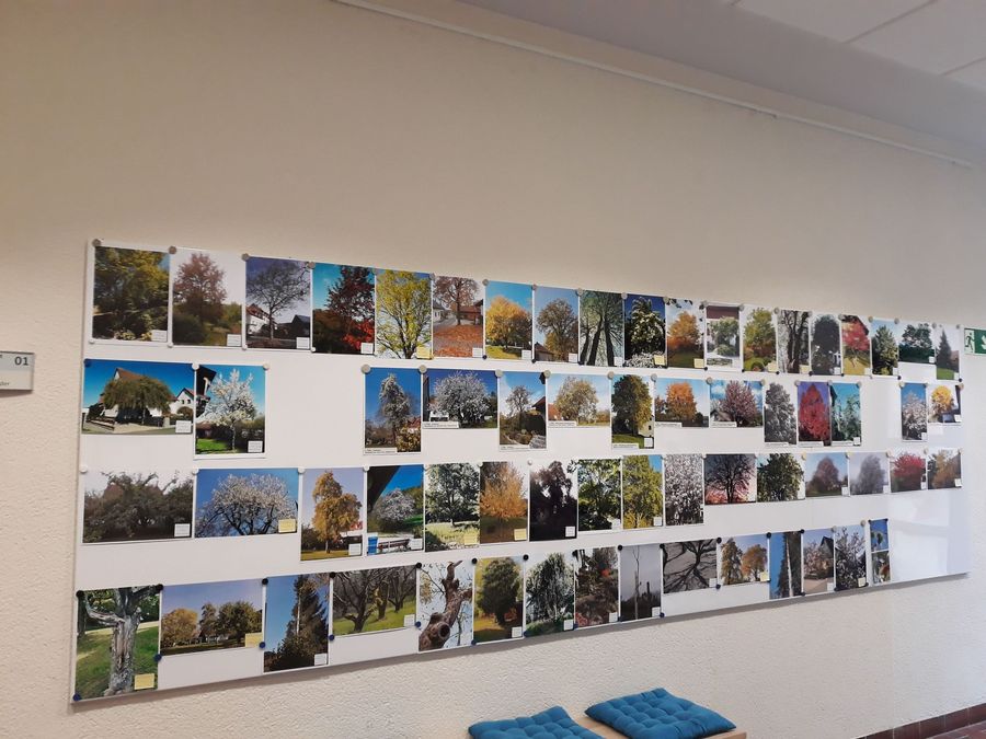 Fotowettbewerb 2019 - BUND Naturschutz in Bayern e.V.