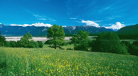 Vorstand Bund Naturschutz In Bayern E V
