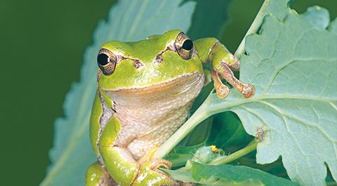 Vorstand Bund Naturschutz In Bayern E V